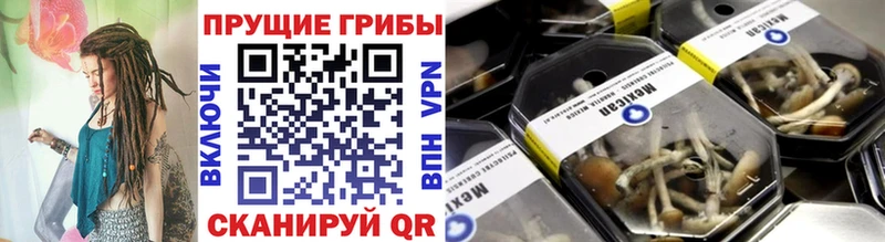 Купить  Усть-Кут  Псилоцибиновые грибы GOLDEN TEACHER 